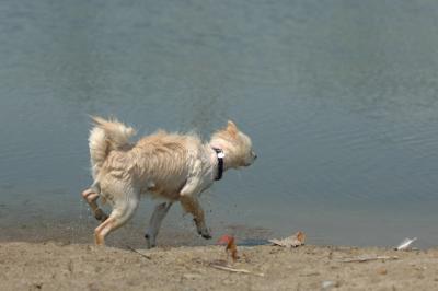 July21_05_317.JPG