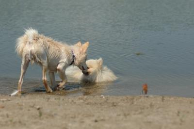 July21_05_318.JPG