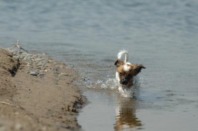 July21_05_335.jpg