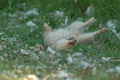 July21_05_724.JPG