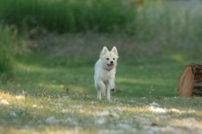July21_05_726.JPG