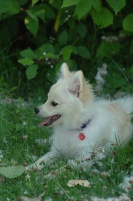 July21_05_730.JPG