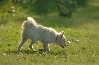 July21_05_747.JPG
