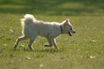 July21_05_748.JPG