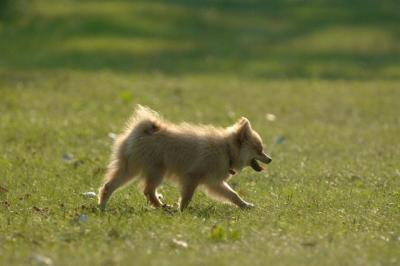 July21_05_750.JPG