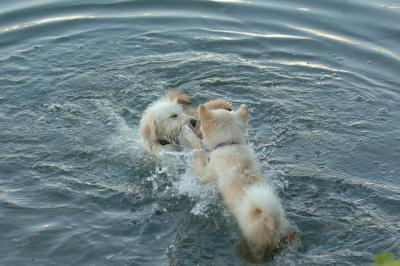 July21_05_759.JPG