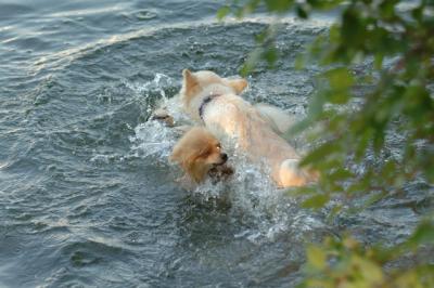 July21_05_765.JPG