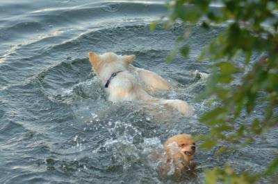 July21_05_768.JPG