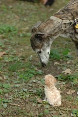 Aug1_05_337.JPG