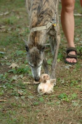Aug1_05_342.JPG