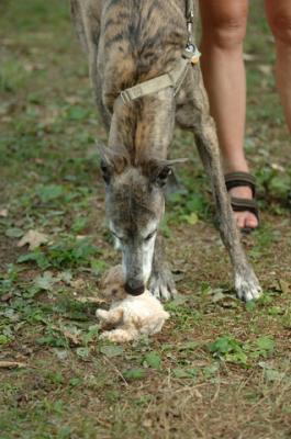 Aug1_05_343.JPG