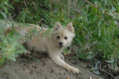 Aug2_05_298.JPG
