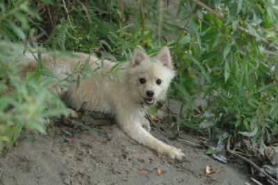 Aug2_05_299.JPG