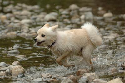 Aug2_05_326.JPG