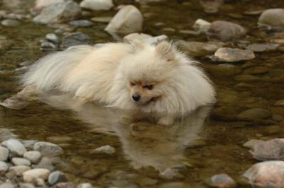 Aug2_05_328.JPG