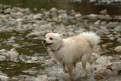 Aug2_05_332.JPG
