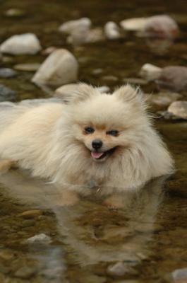Aug2_05_334.JPG