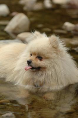 Aug2_05_336.JPG