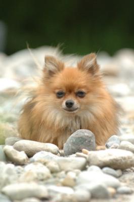 Aug2_05_344.JPG