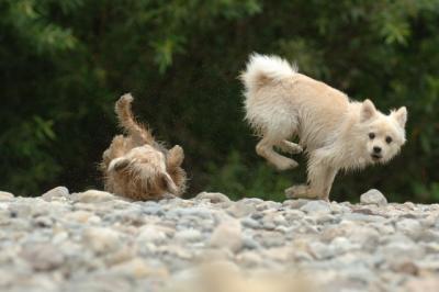 Aug2_05_368.JPG