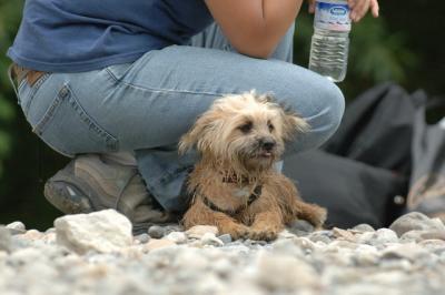 Aug2_05_372.JPG