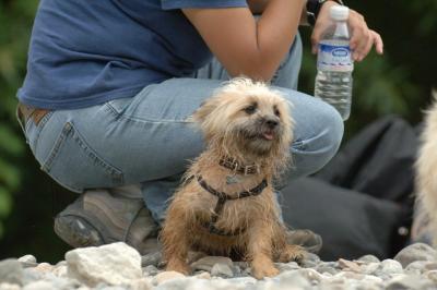 Aug2_05_374.JPG