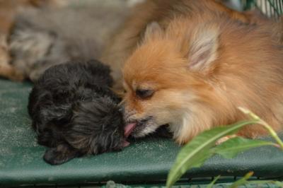 Aug2_05_384.JPG
