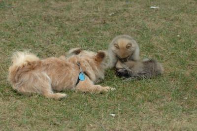 Aug2_05_039.JPG