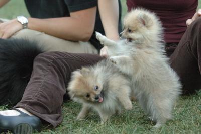 Aug8_05_209.JPG