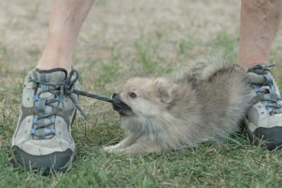 Aug8_05_240.JPG
