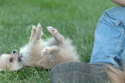 Aug8_05_247.JPG