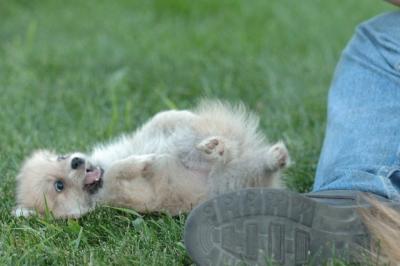 Aug8_05_248.JPG