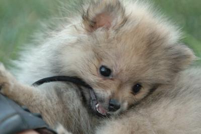 Aug8_05_265.JPG