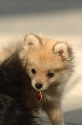 Aug14_05_078.JPG