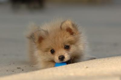 Aug14_05_144.JPG