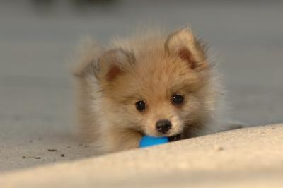 Aug14_05_145.JPG