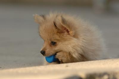 Aug14_05_147.JPG