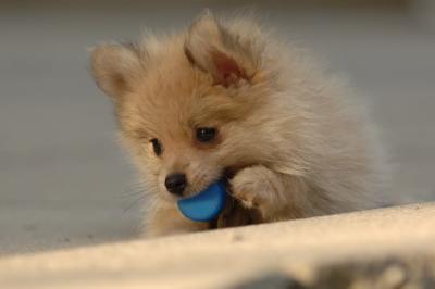 Aug14_05_148.JPG