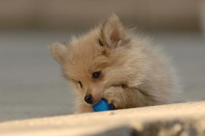 Aug14_05_149.JPG