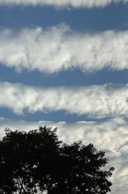 Aug14_05_183.JPG