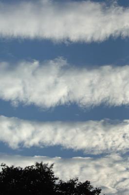Aug14_05_184.JPG