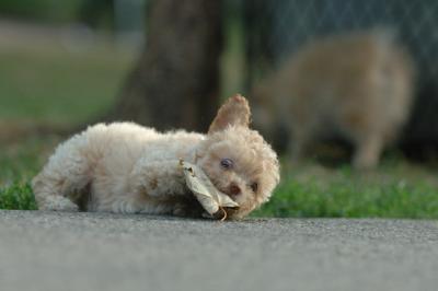 Aug18_05_511.JPG