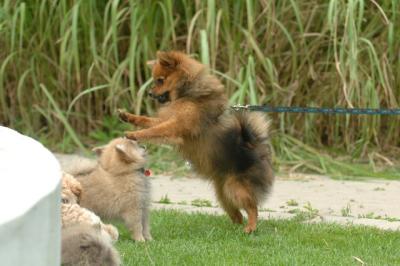 Aug18_05_292.JPG