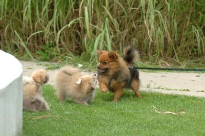Aug18_05_293.JPG