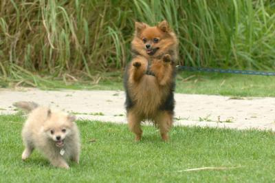 Aug18_05_296.JPG