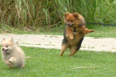 Aug18_05_297.JPG