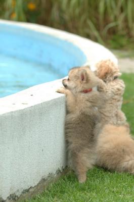 Aug18_05_298.JPG