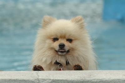 Aug18_05_308.JPG