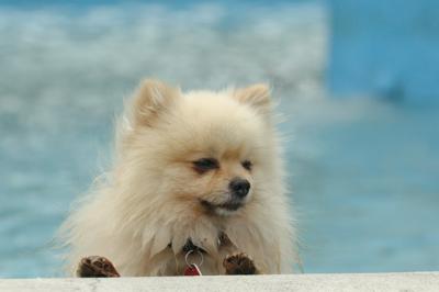 Aug18_05_310.JPG