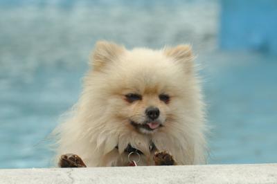 Aug18_05_311.JPG